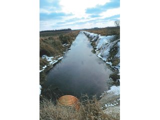 Property photo 18 - LAND AUCTION - 228+/- ACRES OFFERED IN 2 TRACTS IN JASPER COUNTY, INDIANA